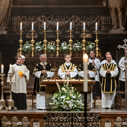 Allerseelen Requiem im Stephansdom